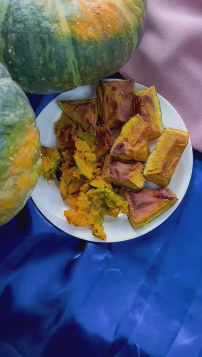 Nuova Delica FITTAMI